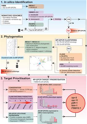 Phylum-Spanning Neuropeptide GPCR Identification and Prioritization: Shaping Drug Target Discovery Pipelines for Nematode Parasite Control